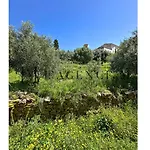 Giuliana D'architecte Avec Piscine Et Vue Villa Aregno
