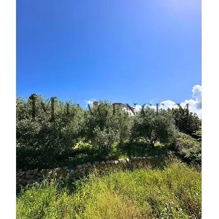 Giuliana Paisible & Spacieuse Villa