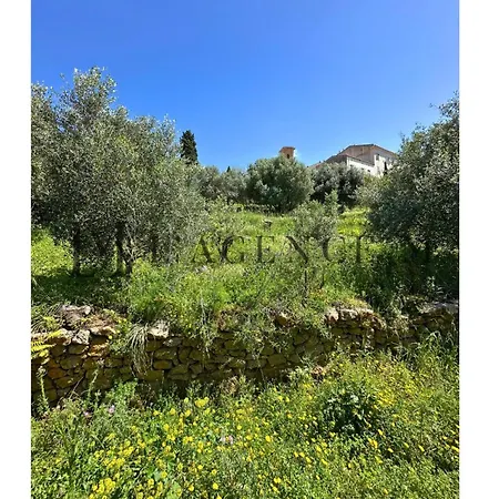 Giuliana Paisible & Spacieuse Villa Aregno