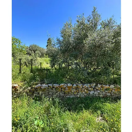 Giuliana Paisible & Spacieuse Aregno