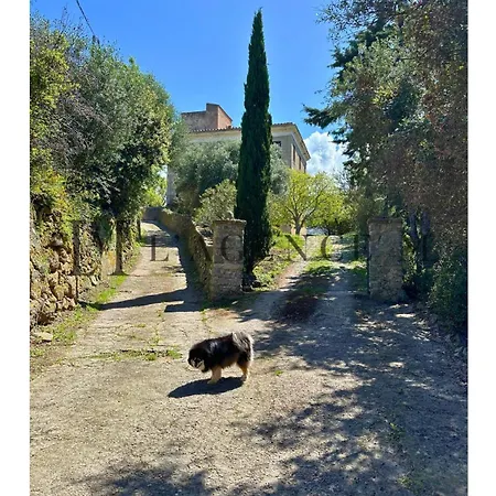 Giuliana Paisible & Spacieuse Villa *