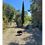 Giuliana D'architecte Avec Piscine Et Vue 别墅 *