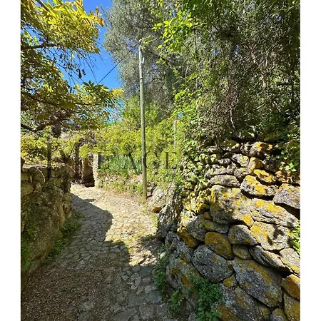 Giuliana Paisible & Spacieuse Aregno