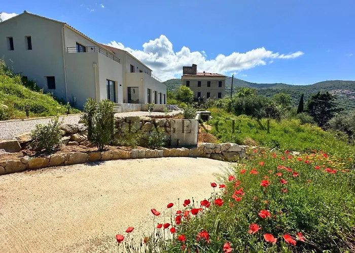 Villa Giuliana D'architecte Avec Piscine Et Vue