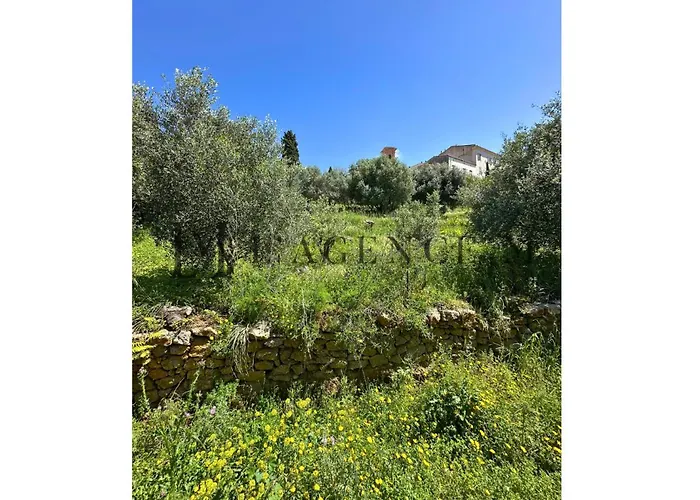 Giuliana D'architecte Avec Piscine Et Vue Villa Aregno