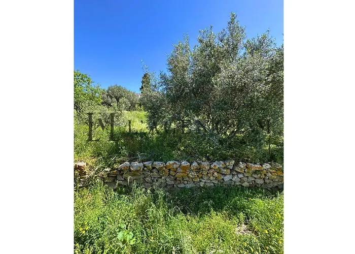 Giuliana Paisible&spacieuse Aregno