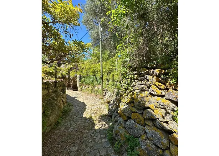 Giuliana Paisible&spacieuse Aregno