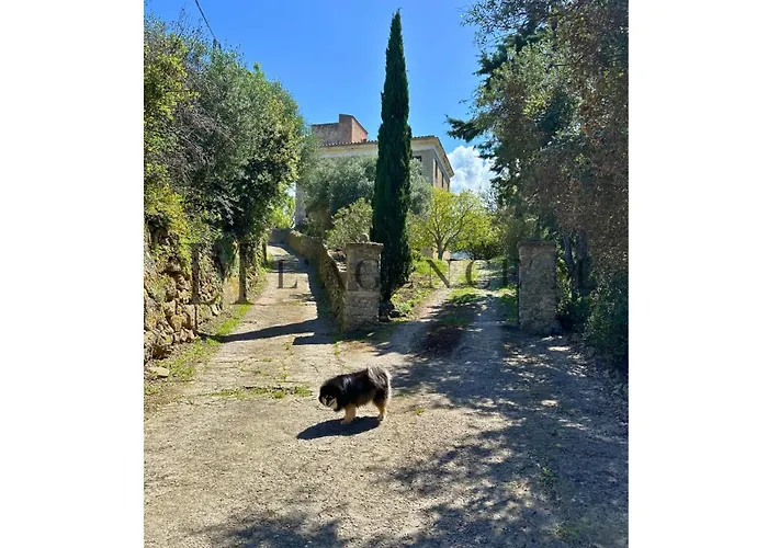 Giuliana D'architecte Avec Piscine Et Vue Villa *